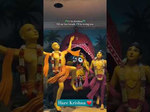 Hare Krishna 💕 #shorts #trendingshorts #viral #viralshorts #srikrishna #krishna #premmandir