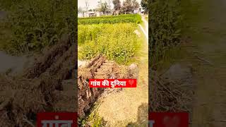 #myfirstvlog #vlog #myfirstvlog2023 #myfirstvlogviral #vlogs #myfirstblog