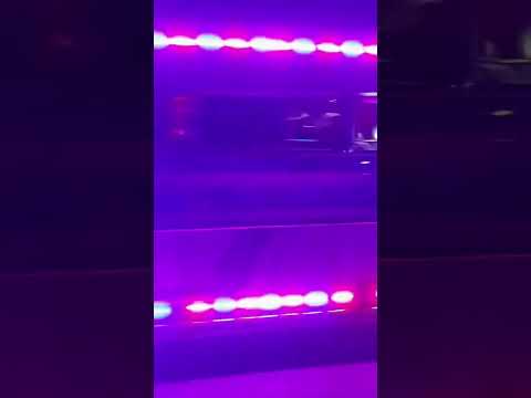 Lakmal Speed Line බස් සෙට් එකම එක පෙළට😘😘 |#shorts  #bus #automobile #lakmalspeedline #pink #srilanka