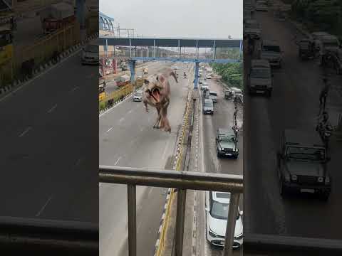 T-Rex Dinosaur on Highway Road 🦖🔥 #trex #shorts