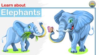 About Elephants | General Knowledge for Kids | Kids Creative School