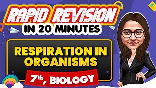 Respiration in Organisms - Rapid Revision in 20 Minutes 🔥|| Biology, Class 7th 📚