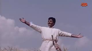 Feroz Khan's AAG (1967) Full Hindi Movie | Mumtaz, Achala Sachdev, Aruna Irani, Jeevan, Manohar