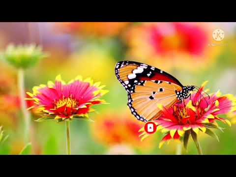 Motivationa Relax Stetion