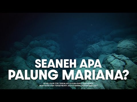 Bagaimana Palung Mariana Menyimpan Banyak Misteri? | #BelajarDuniaPurba