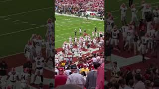 Georgia Dawgs. Went home like puppies