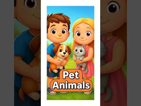Pet Animals - Pet Animals Name #shorts