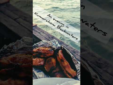 Boat ride in Kumarakom Backwaters I Kerala diaries