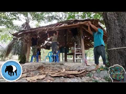 🌳ติ่งป่าซ่อมให้📌