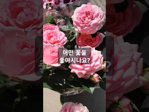 어버이날 꽃선물~#어버이날 #꽃 #선물