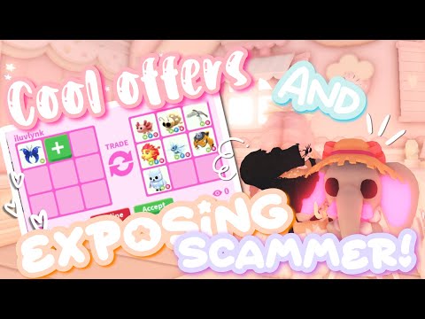 ˚୨୧⋆｡˚ Cool Offers + Exposing A Scammer! | Trading Video - #adoptme #adoptmetrades ♡༊*·˚