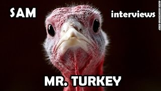 Sam interviews Mr. Turkey! (Sam Pog)
