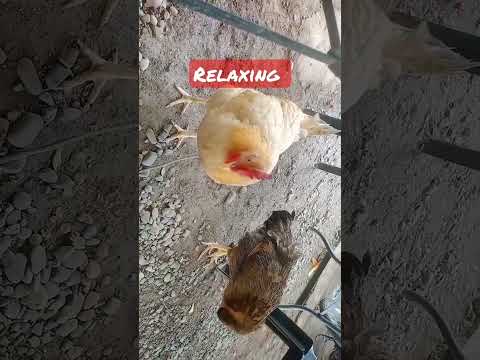 relaxing time