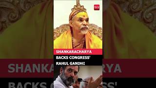 'Rahul's Hindu Remark Not Wrong': Shankaracharya Backs Congress Leader As BJP Roars
