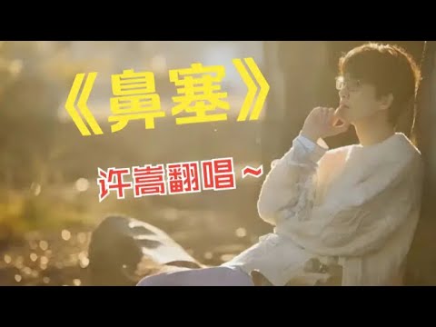 【许嵩】《鼻塞》“我的浪漫都死在这天，不再热烈才算搁浅”
