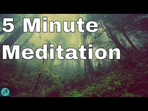 5 Minute Meditation for Stress & Anxiety | Calming Music, Relaxing Music, Soothing Music, Healing