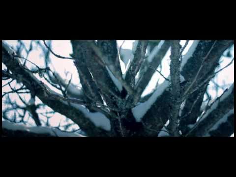 BLUE SCHOLARS: Coffee and Snow 2