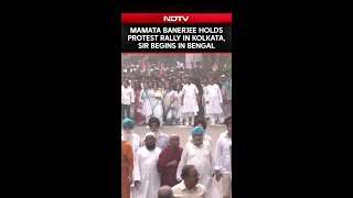 SIR Row | CM Mamata Banerjee Holds Protest Rally In Kolkata As SIR Begins In West Bengal