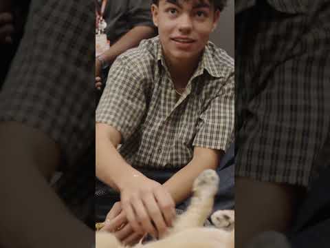 Malachi with dogs #malachibarton