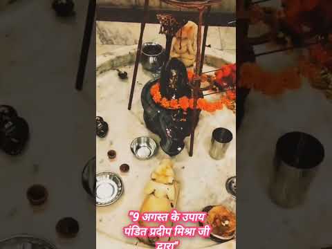9 अगस्त के उपाय पंडित प्रदीप मिश्रा जी #trending #shorts