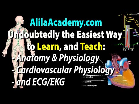 The Easiest Way to Learn, and Teach: A & P, ECG/EKG, and Cardiovascular Physiology.