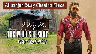 A day at Maredumilli  Woods Resort || luxury resorts in Maredumilli #maredumilliforest #aptourism
