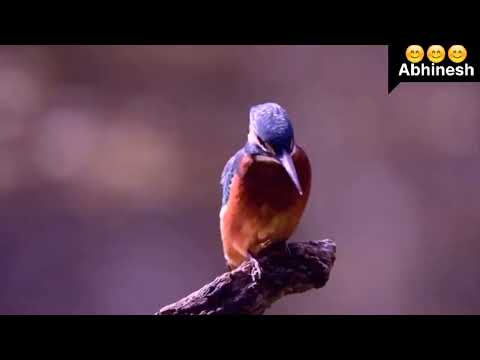 Malik_Mere_Hoton_Pe_Sab_Ke___Yesudas____Mithun_%2C_Abhinesh%2C_Ankit🙏🙏🙏 like, ssubscriba and share 👈