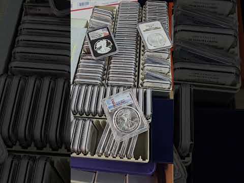 Silver Eagles Collection #silvereagle #silver #silverdollar #coins #whatnot #coincollecting