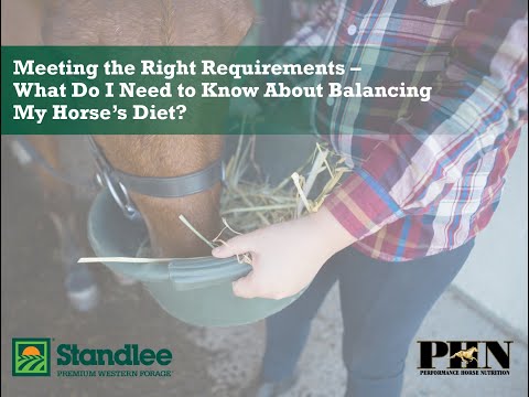 Meeting the Right Requirements - What Do I Need to Know About Balancing My Horse’s Diet?