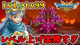 今までの苦労は何だったんだ！？クリア後のレベル上げが簡単すぎる...。！【ドラクエ3リメイク】【naotin】