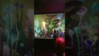 Under Water Spaceに行ってきました❤️