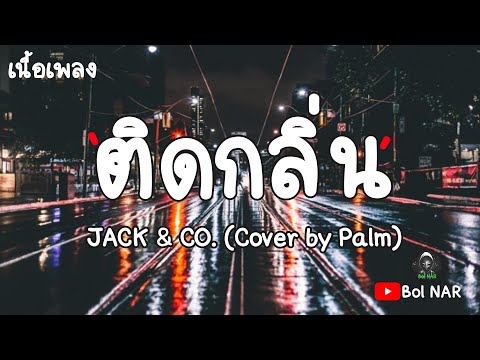 ติดกลิ่น​ -​ JACK & CO. (Cover by Palm) [เนื้อเพลง Lyrics Video]​