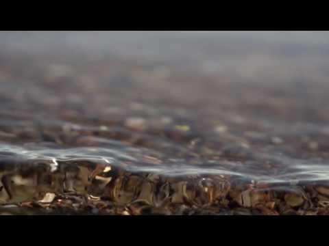 Mindful Minute -  River (Classroom, Studying, School Mental Break)