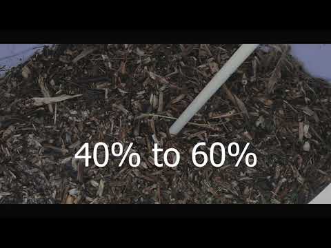 Cotton stalks in Making Animal Nutrition