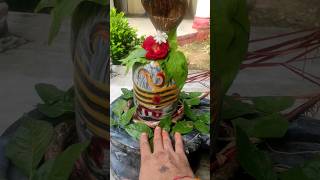 #trending #shorts Haridwar Rishikesh #viralvideo #mhadev #siva #bhajan #om