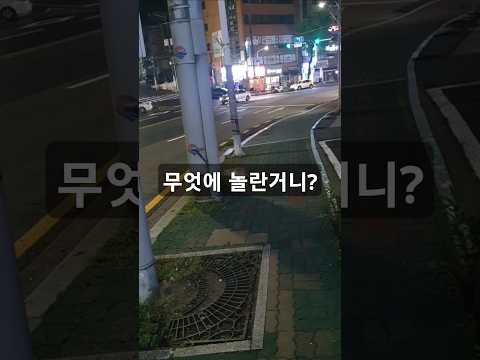 깜놀한 고양이 #고양이 #브이로그 #일상