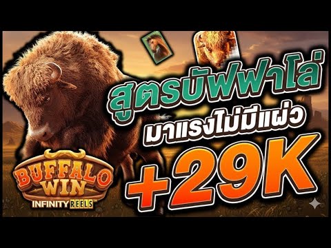 สล็อตทุนน้อย สล็อตวอเลท สล็อตทุนน้อยวอเลท สล็อตแตกง่าย สล็อตpg