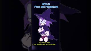 Pace the hedgehog explained in a bit more than 60 seconds #sonic #pace #sonicexe