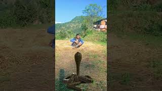 Nepali Comedy Video | #nagin #shorts #youtubeshorts #shortsfeed #CheTanCK