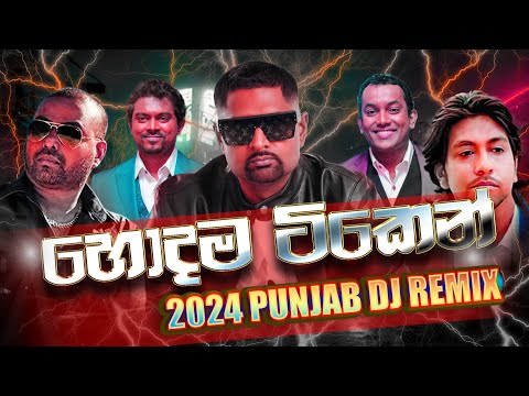 Old is Gold Punjabi Remix | Sinhala New Dj Remix | Sinhala Dj Remix | Sinhala Old Songs Collection