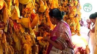 Panguni Utthiram Festival: Maran 2014