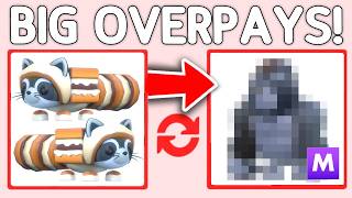 Trading The NEW S'MORES RACCOON In Adopt Me! Roblox