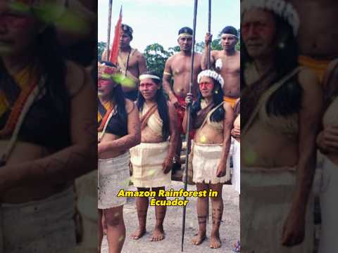 The Huaorani people - A Unique Civilisation of the Amazon Rainforest #huaorani #ancientcivilization