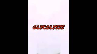 Explanation of glycolysis #views #notes #like #comment #studynotes #subscribe #glucose #science