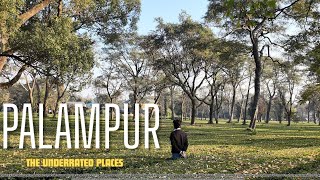 PALAMPUR: THE UNDERRATED PLACES 