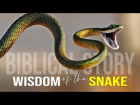 Wisdom Of The Serpent - Best Motivational Video