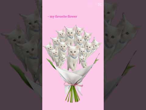 💐 I Just Got the Cutest “Flower Bouquet” Ever… 😻