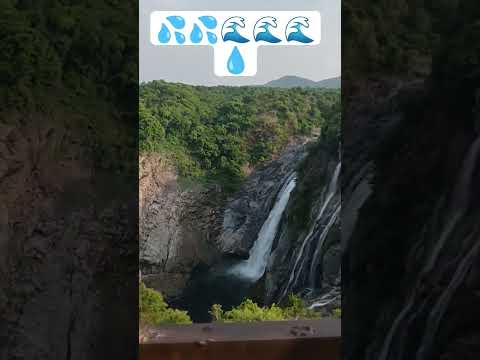 JOG FALLS IN SHIVANASAMUDRA.. 🌊🌊🌊.. #please_subscribe_my_channel