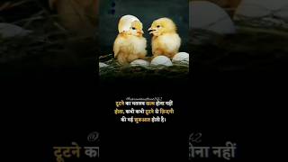 Best motivational Status Video | motivational #motivationalthought #short #motivationalkingvideo
