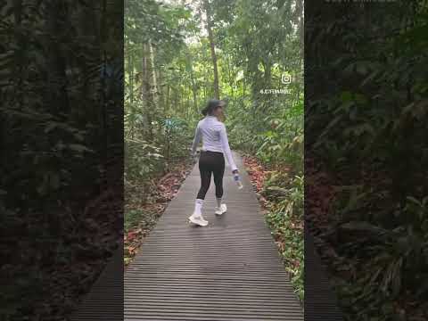 Jc w/ her sister Kim | MacRitchie Nature Trail | Hidden Oasis in SG | MJC7 #hike #tranquility